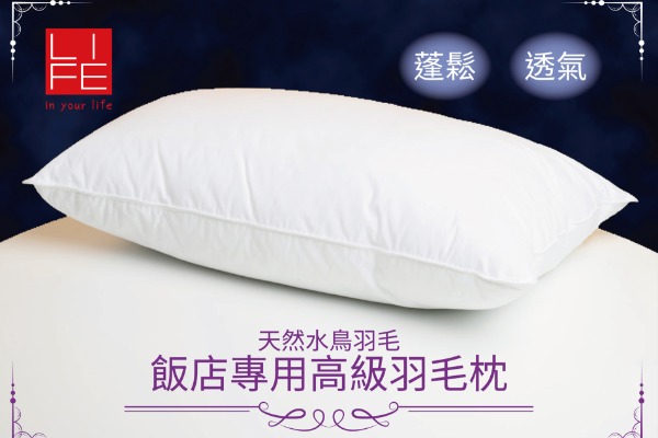 飯店高級羽毛枕 48x75cm